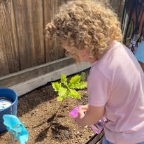 Curly-haired child watering a small seedling in a garden bed with a watering can